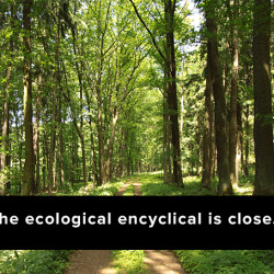 Anticipation mounts for the Pontiff’s encyclical on ecology Anticipation mounts for the Pontiff’s encyclical on ecology