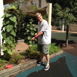 Permaculture – a new focus for 2016 Permaculture – a new focus for 2016