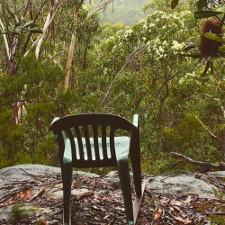 Meditation and the Environment Meditation and the Environment